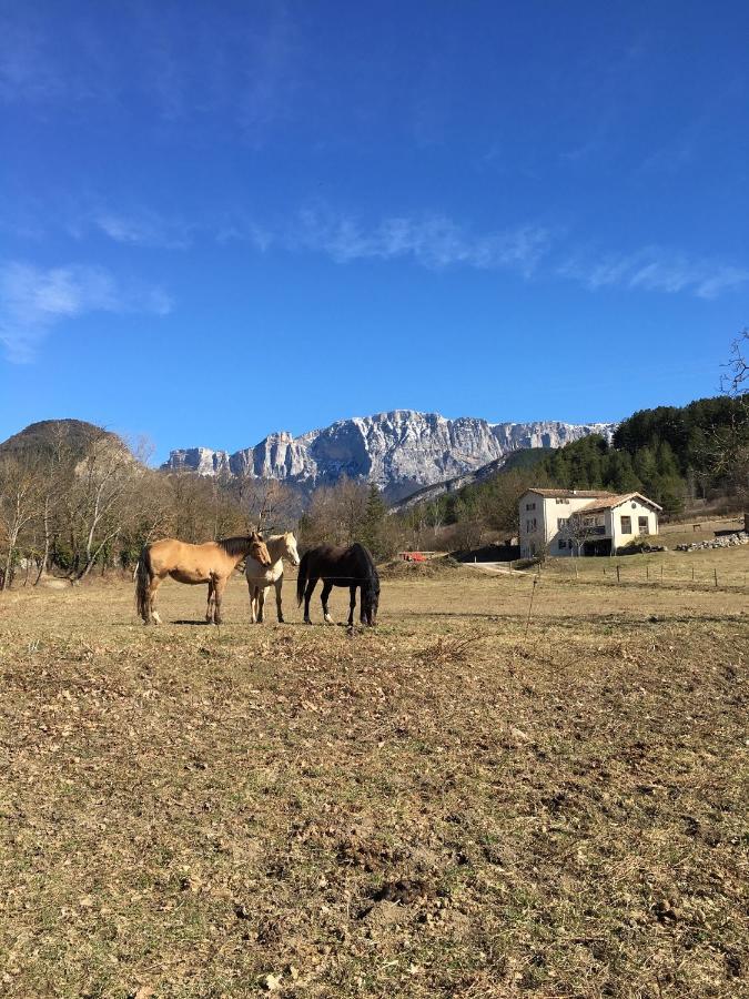 Gite D'Etape D'Aurouses ディー エクステリア 写真